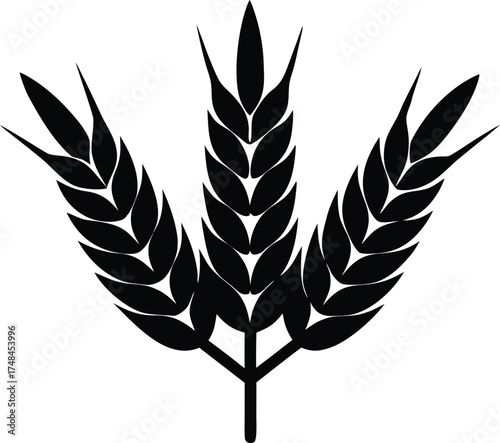 wheat ears icon vector, agriculture plant illustration