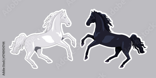White and black horses vector sticker ilustration