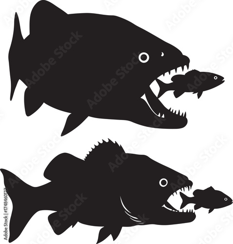 Two black fish silhouettes eating smaller fish isolated on white background