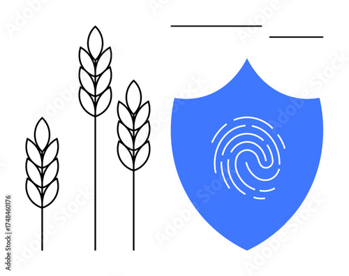 Blue shield with fingerprint symbol next to three wheat stalks. Ideal for concepts thumbs up food security, agriculture technology, farming innovation, data protection, sustainability, digital