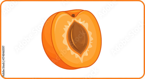 Half apricot with visible pit orange fruit illustration.