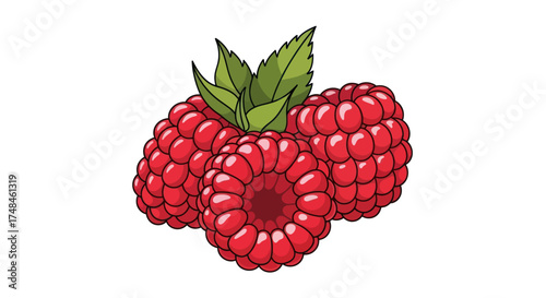 Three Ripe Raspberries with Green Leaves Fresh and Juicy.