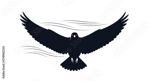 Silhouette of a bird with outstretched wings in flight.