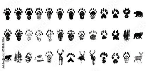 Series of black and white animal tracks and silhouettes arranged on a white background