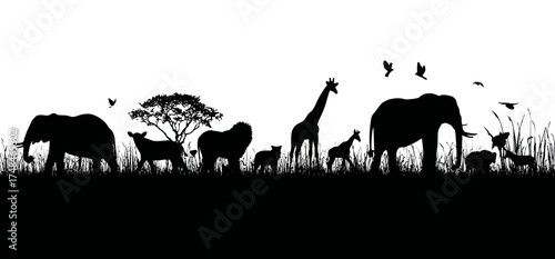Silhouette of various African animals on a grassy plain against a white background, with birds