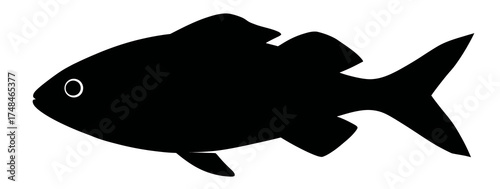 A monochrome silhouette of a fish, presented in profile, against a plain white background