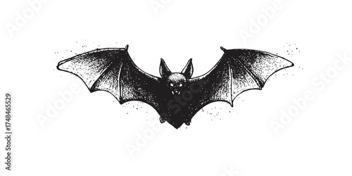 A detailed black and white illustration of a bat with spread wings and sharp teeth