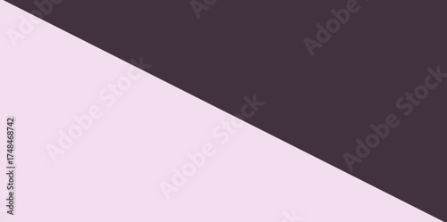 Geometric Diagonal Color Block Background Vector Illustration. Simple two-tone diagonal split design with solid light and dark purple blocks.