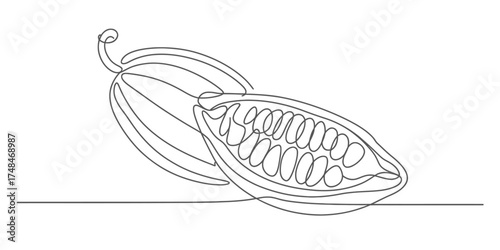Artistic continuous line drawing of cacao pods revealing delicious beans vector