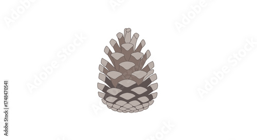 A detailed realistic illustration of a single pine cone with layered scales.