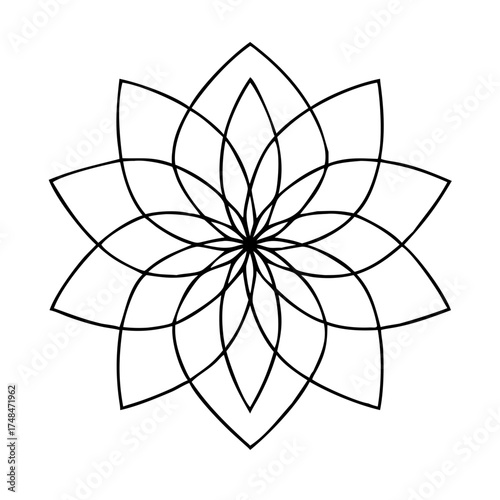 Floral geometric pattern with radial symmetry design