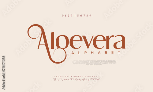Elegant Font Uppercase Lowercase and Number. Classic Lettering Fashion Designs. Typography modern serif fonts regular decorative vintage concept. vector illustration

