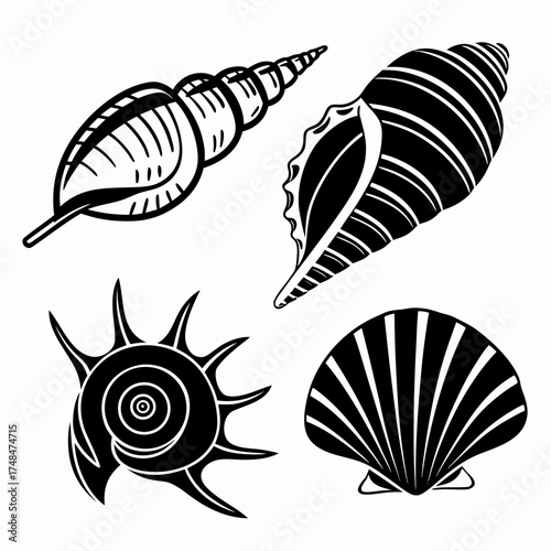 Four black silhouette vector designs of seashells marine