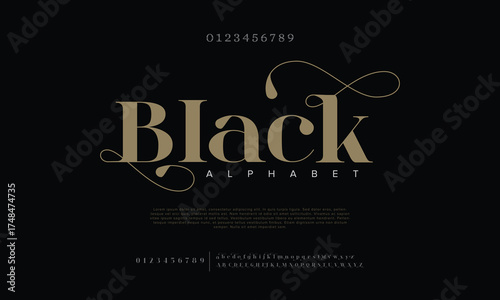 Elegant Font Uppercase Lowercase and Number. Classic Lettering Minimal Fashion Designs. Typography modern serif fonts regular decorative vintage concept. vector illustration

