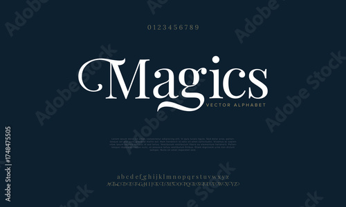 Elegant Font Uppercase Lowercase and Number. Classic Lettering Minimal Fashion Designs. Typography modern serif fonts regular decorative vintage concept. vector illustration


