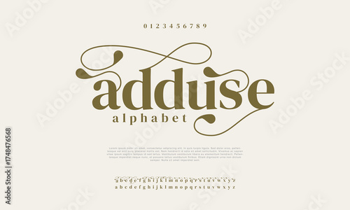 Elegant Font Uppercase Lowercase And Number. Classic Lettering Minimal Fashion Designs. Typography modern serif fonts regular decorative vintage concept. vector illustration


