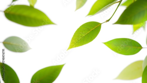 Conceptual Design of Human Arm