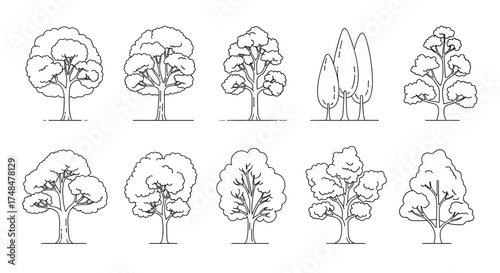 A collection of hand-drawn deciduous trees in outline style, perfect for architectural renderings and landscape designs.