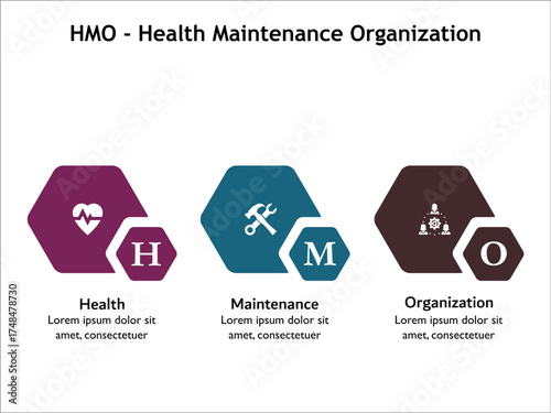HMO - Health Maintenance Organization acronym. Infographic template with icons and description placeholder