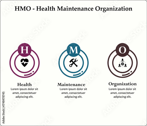 HMO - Health Maintenance Organization acronym. Infographic template with icons and description placeholder