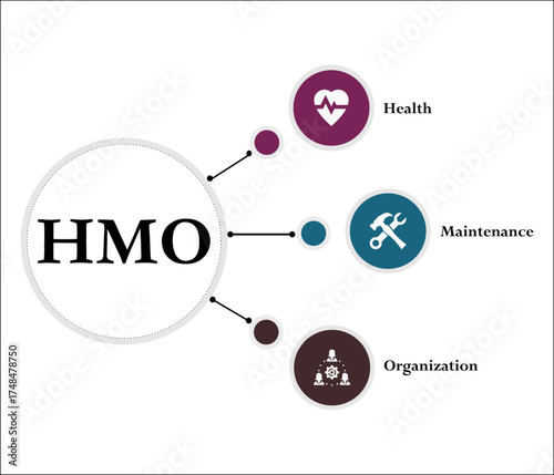 HMO - Health Maintenance Organization acronym. Infographic template with icons and description placeholder