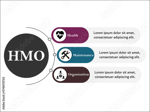HMO - Health Maintenance Organization acronym. Infographic template with icons and description placeholder