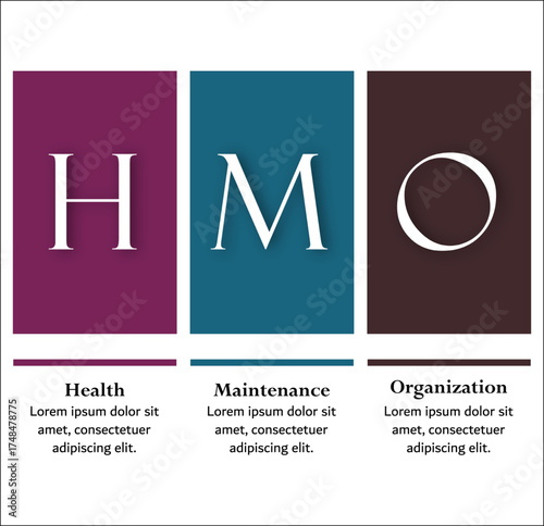 HMO - Health Maintenance Organization acronym. Infographic template with icons and description placeholder