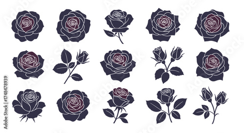 Set of dark roses and buds in a vintage hand drawn style.