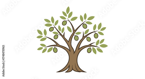 Stylized Olive Tree Illustration with Green Olives and Leaves.
