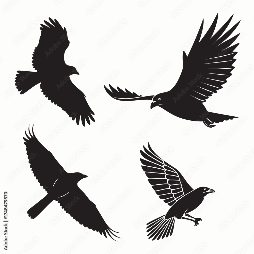 Fototapeta premium Four black silhouette vector designs of flying birds 3