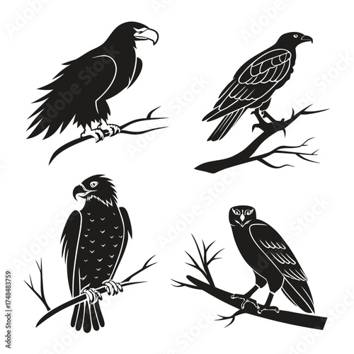 Four black silhouette birds of prey on branches bird of prey