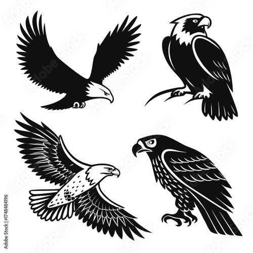 Four black silhouette vector designs of birds of prey