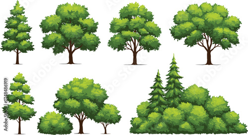 Collection of eight diverse tree illustrations with conical evergreens and broad deciduous foliage, detailed vector artwork for nature, landscape, and education