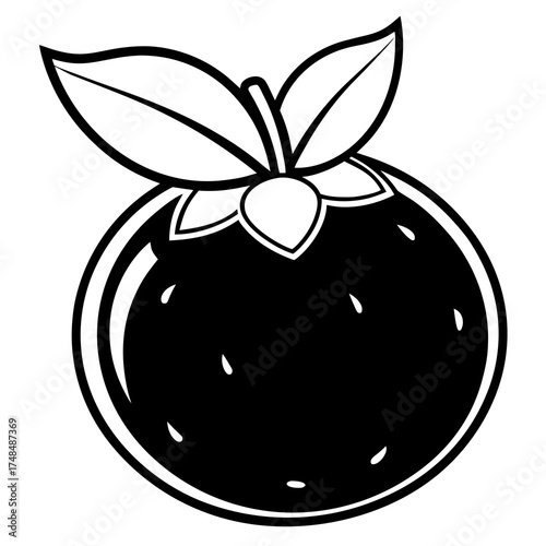 Fresh blueberry vector illustration isolated on white clean background vector illustration