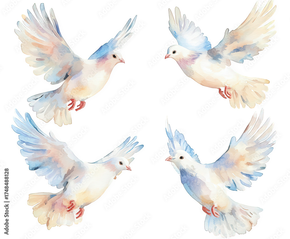 Obraz premium Watercolor painting of four doves isolated on transparent background, symbolizing peace, love, and serenity in a delicate and artistic representation