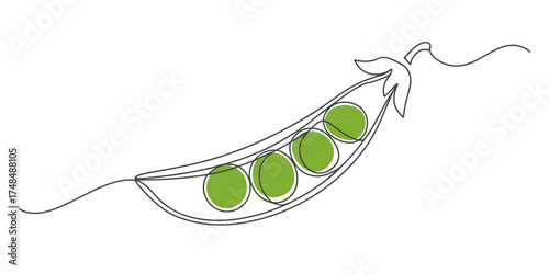 Single continuous line drawing of a fresh pea pod with green peas art vector