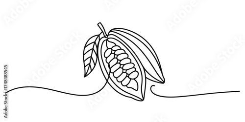 Abstract continuous line art drawing of a cacao pod with beans and leaves minimalist illustration vector