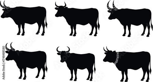 Cow silhouette vector illustration with six black cattle in different postures, decorative horn and neck patterns, farm animal agriculture livestock art