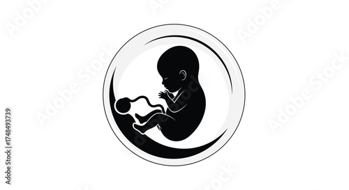 Understanding the early stages of human development and the remarkable journey of fetal growth within the womb.