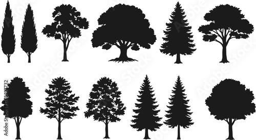Silhouette vector collection of twelve different tree species showing natural shapes, foliage patterns, forest elements, landscape design, and botanical diversity illustration