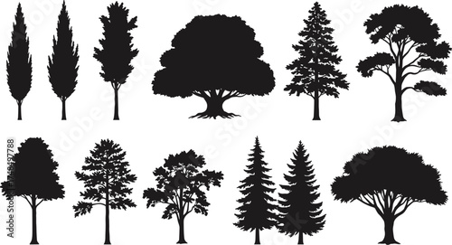 Silhouette vector collection of twelve diverse tree species showing natural shapes, foliage patterns, forest elements, landscape design, and botanical illustration