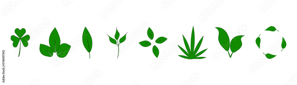 Fototapeta premium environmentally friendly green alive fragrant tasty healthy