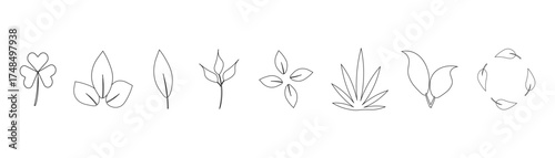environmentally friendly green alive fragrant tasty healthy