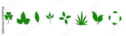 environmentally friendly green alive fragrant tasty healthy
