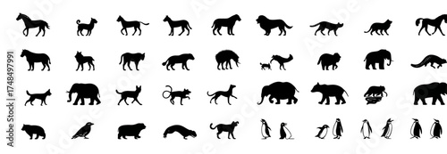 A series of black animal silhouettes including horses, cats, elephants, bears, wolves, and penguins