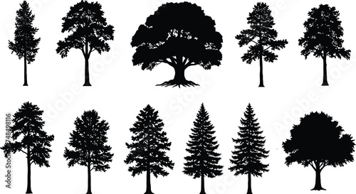 Silhouette vector collection of twelve unique tree species showing natural shapes, foliage patterns, forest elements, landscape design, and botanical diversity illustration