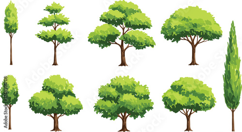 Vector illustration of nine different trees with unique shapes and green foliage, diverse botanical artwork design for landscape and environment background