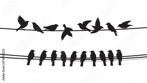 Silhouette of birds on a wire vector illustration of a flock isolated on white background