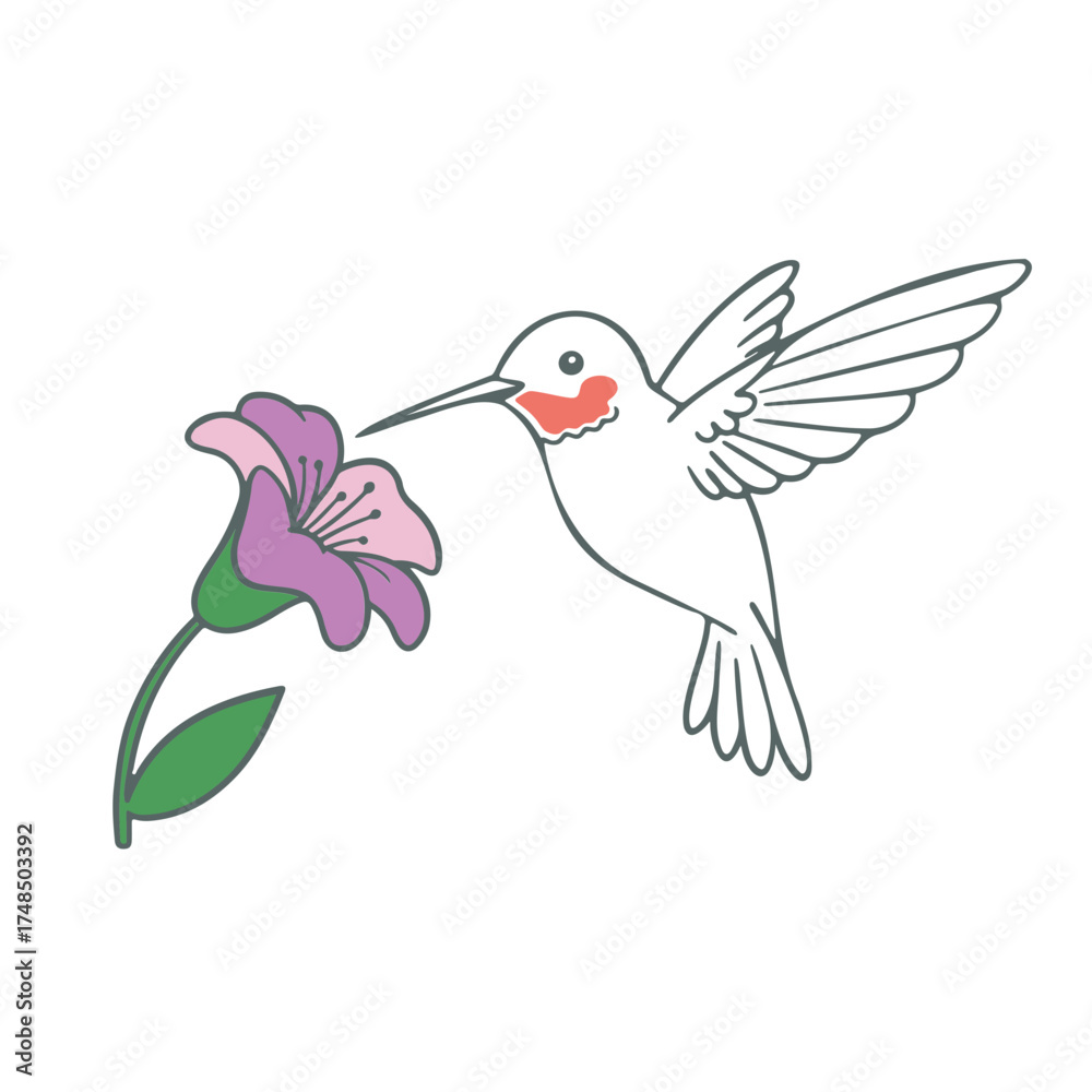 Obraz premium Illustration of a hummingbird with red throat feeding on a purple flower with green stem and leaves