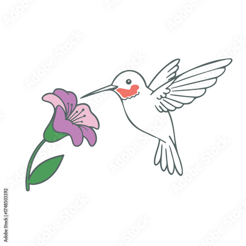 Illustration of a hummingbird with red throat feeding on a purple flower with green stem and leaves